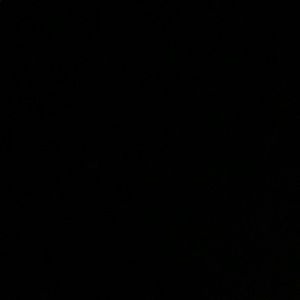 Meet your Posher, Iris